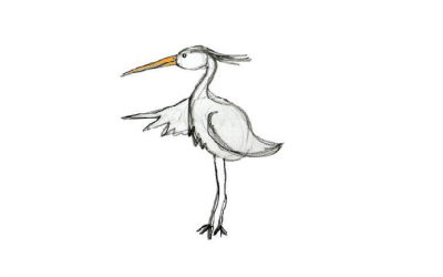 The Heron Times Edition 14 – 15.07.20